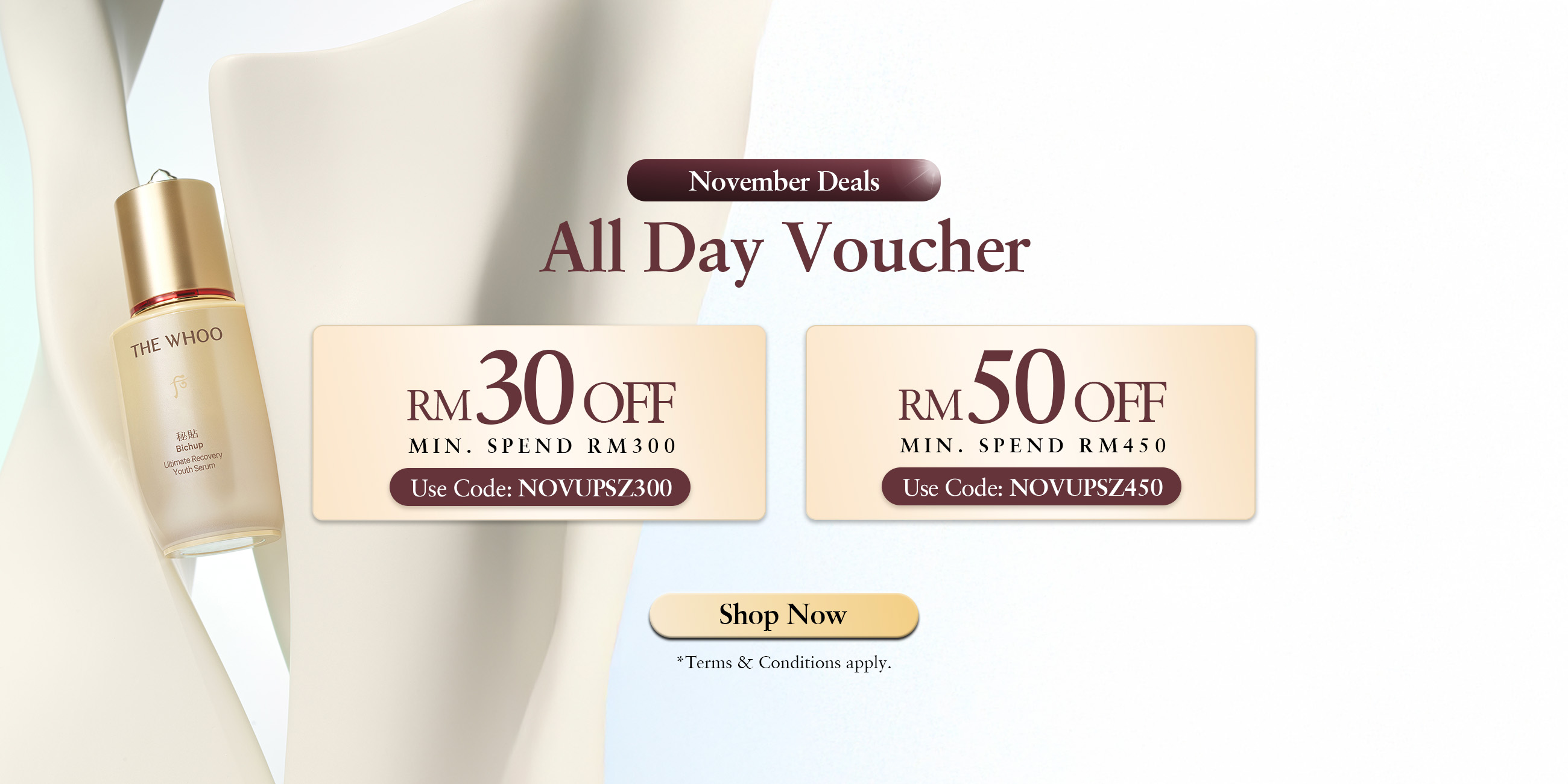 NOV REBATE VOUCHER