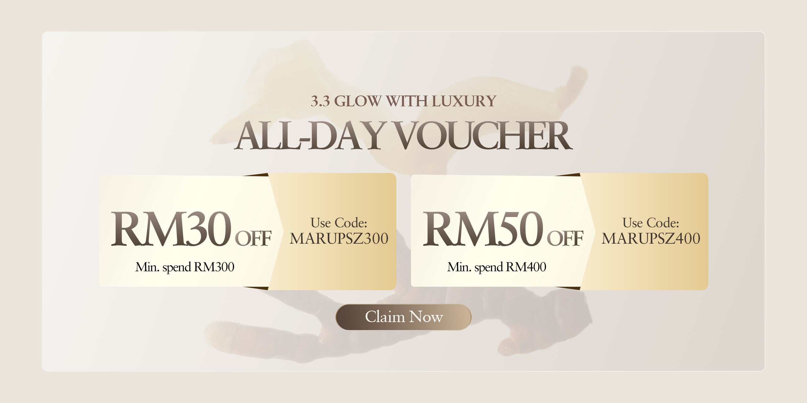 3.3 Rebate Voucher