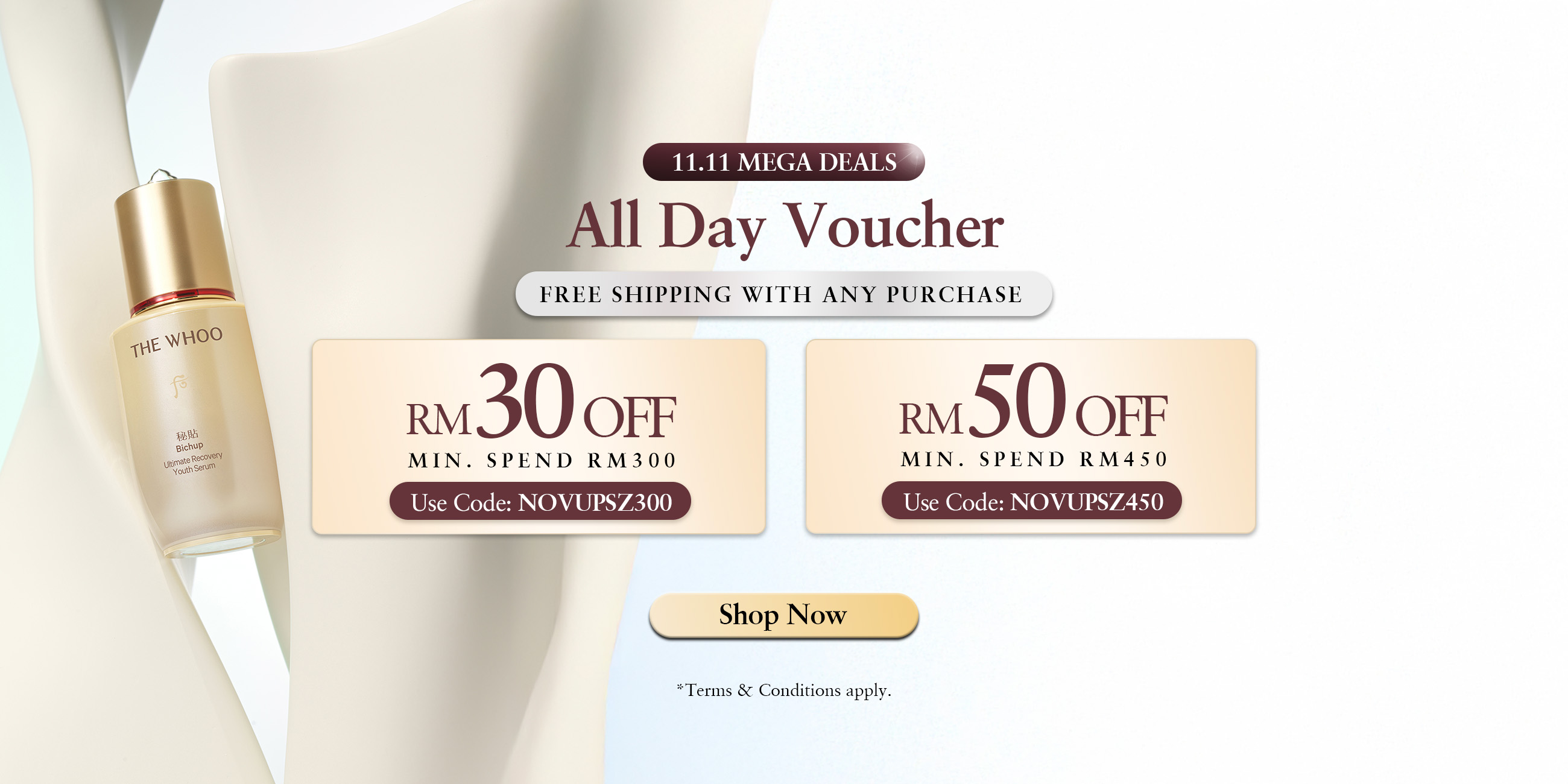 11.11 Rebate Voucher